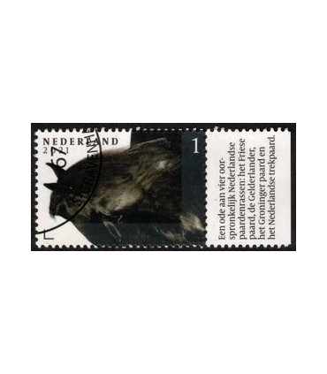 3974 Paardenrassen Fries paard (o) TAB c