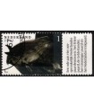 3974 Paardenrassen Fries paard (o) TAB