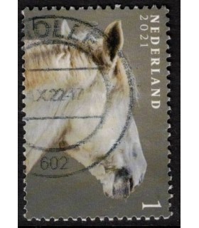 3970 Paardenrassen Trekpaard (o)