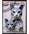 4226 Typisch Nederlands Katten (o) c