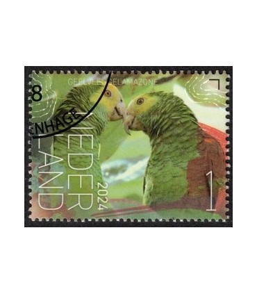 4170 Beleef de natuur Geelvleugelamazone (o) c