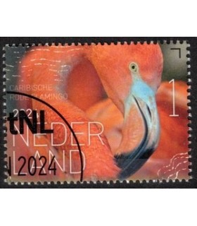 4168 Beleef de natuur Flamingo (o) c