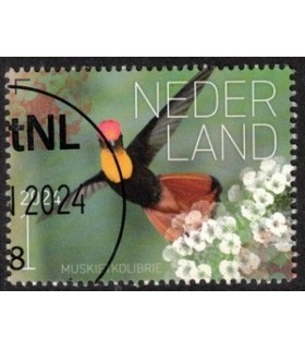 4172 Beleef de natuur Muskietkolibrie (o) c