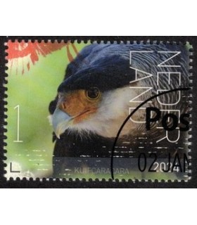4163 Beleef de natuur Kuifcaracara (o) c