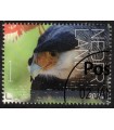 4163 Beleef de natuur Kuifcaracara (o) c