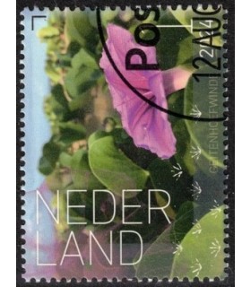 4216 Beleef de natuur Geitenhoefwinde (o) c