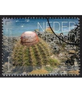 4218 Beleef de natuur MeloenCactus (o) c