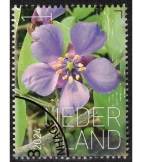 4219 Beleef de natuur Pokhout (o) c