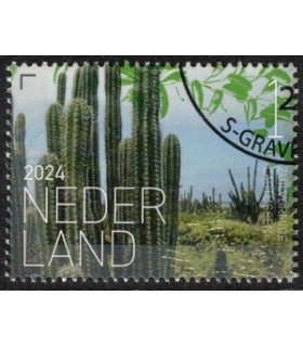 4222 Beleef de natuur Cactussen (o) c