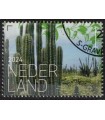 4222 Beleef de natuur Cactussen (o) c