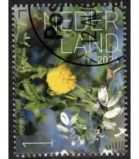 4224 Beleef de natuur Dutch Casha (o) c