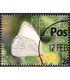 4182 Beleef de natuur Southern White (o) c