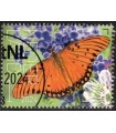 4183 Beleef de natuur Gulf Fritillary (o)