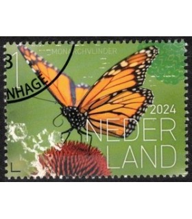 4177 Beleef de natuur Monarchvlinder (o) c