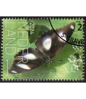 4176 Beleef de natuur Mimic (o) c