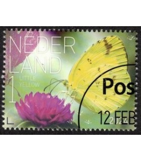 4174 Beleef de natuur Little yellow (o) c