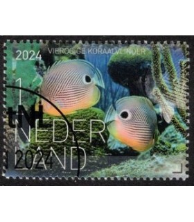 4205 Beleef de natuur Koraalvlinder (o) c