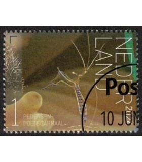 4204 Beleef de natuur Poetsgarnaal (o) c