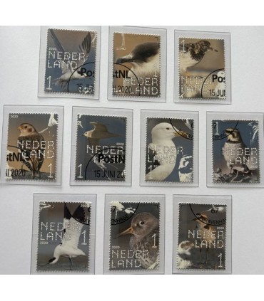 3849 - 3858 Beleef de natuur kustvogels (o) serie