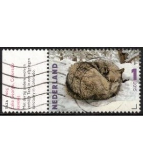 3333 Charlotte Dumas Taza (o) TAB