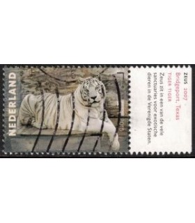 3334 Charlotte Dumas Zeus (o) TAB