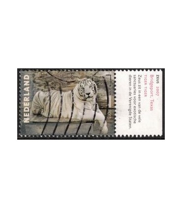 3334 Charlotte Dumas Zeus (o) TAB