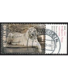 3334 Charlotte Dumas Zeus (o) TAB2