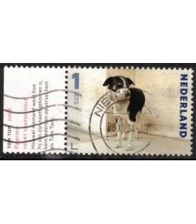 3335 Charlotte Dumas Tom Tom (o)