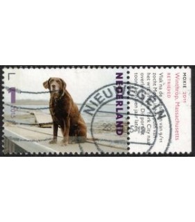 3336 Charlotte Dumas Moxie (o) TAB