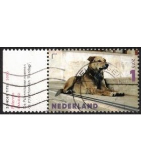 3337 Charlotte Dumas Palermo (o) TAB