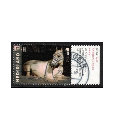 3338 Charlotte Dumas Ringo (o) TAB