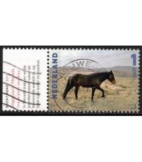 3339 Charlotte Dumas (o) TAB