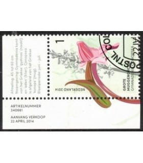 3175 Grote Muggen Orchis (o) TAB c