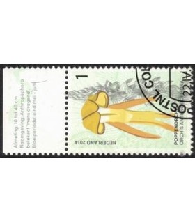 3177 Poppen Orchis (o) TAB c