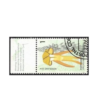 3177 Poppen Orchis (o) TAB c