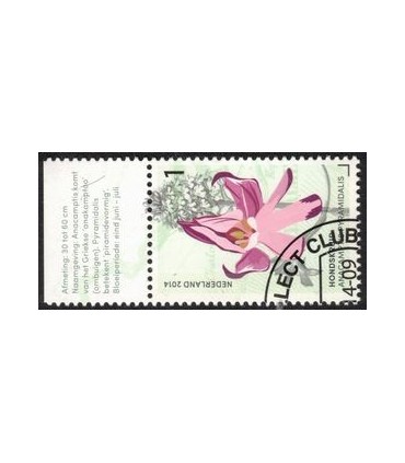 3178 Hondskruid (o) TAB c