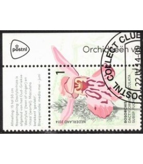 3179 Bos Orchis (o) TAB c