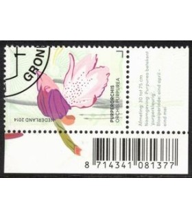 3180 Purper Orchis (o) TAB c