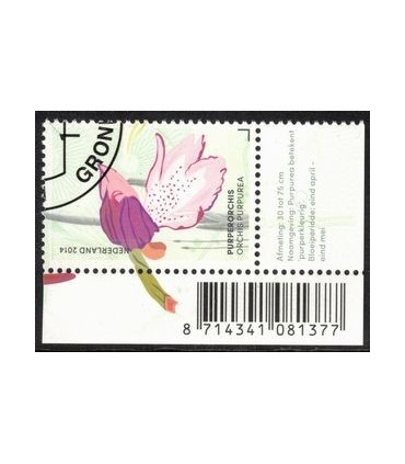 3180 Purper Orchis (o) TAB c