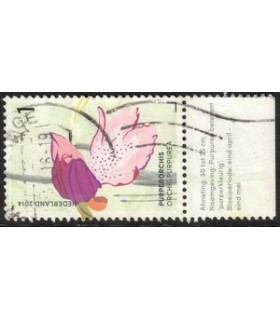 3180 Purper Orchis (o) TAB