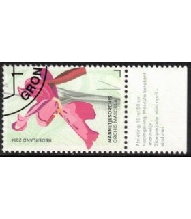 3182 Mannetjes Orchis (o) TAB c