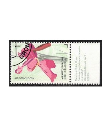 3182 Mannetjes Orchis (o) TAB c