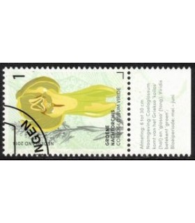 3183 Groene Nacht Orchis (o) TAB c