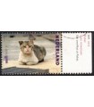 3340 Charlotte Dumas Zwerfkat (o) TAB