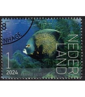 4205 Beleef de natuur Keizervis (o) c