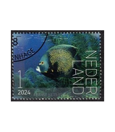 4205 Beleef de natuur Keizervis (o) c