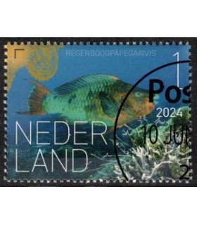 4206 Beleef de natuur Papagaaivis (o) c