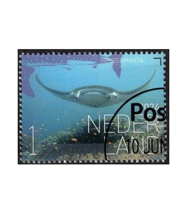 4200 Beleef de natuur Reuzemanta (o) c