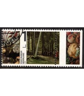 3041 Rijksmuseum TAB (o) c