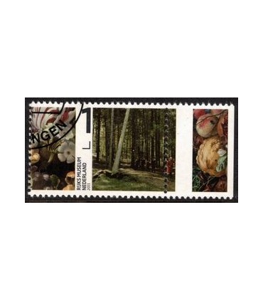 3041 Rijksmuseum TAB (o) c